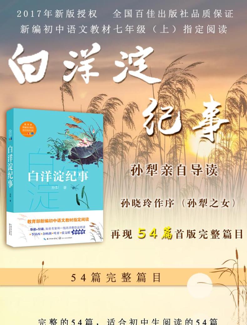 白洋淀纪事