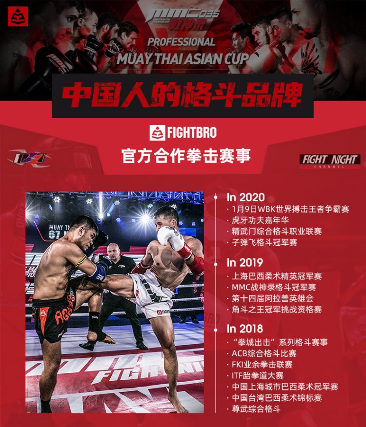 Fightbro飞特氏墙靶格斗博击专业训练拳靶散打反应靶墙体靶子f857 V007 02 黄色 虎窝购