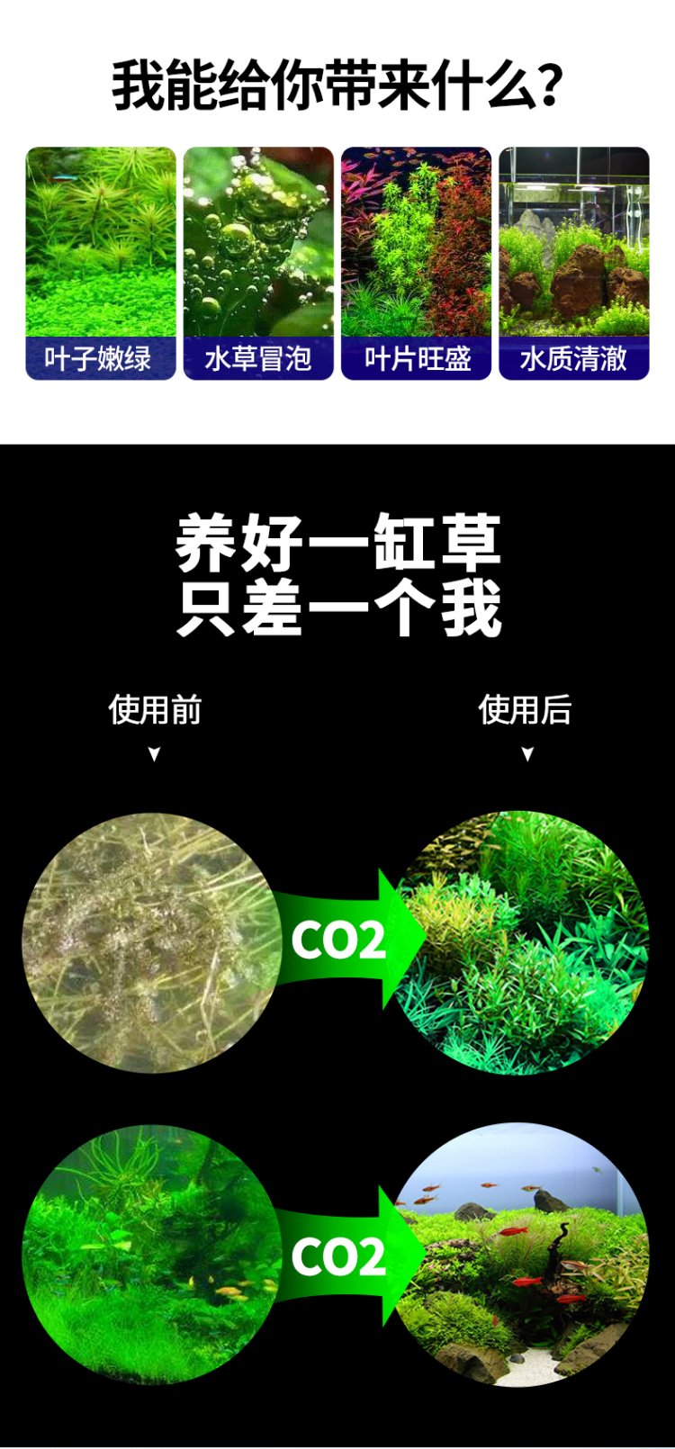 疯狂水草二氧化碳小钢瓶发生器水草缸套装鱼缸专用自制高压气瓶co2 进阶款 铝合金新手钢瓶2l 虎窝购