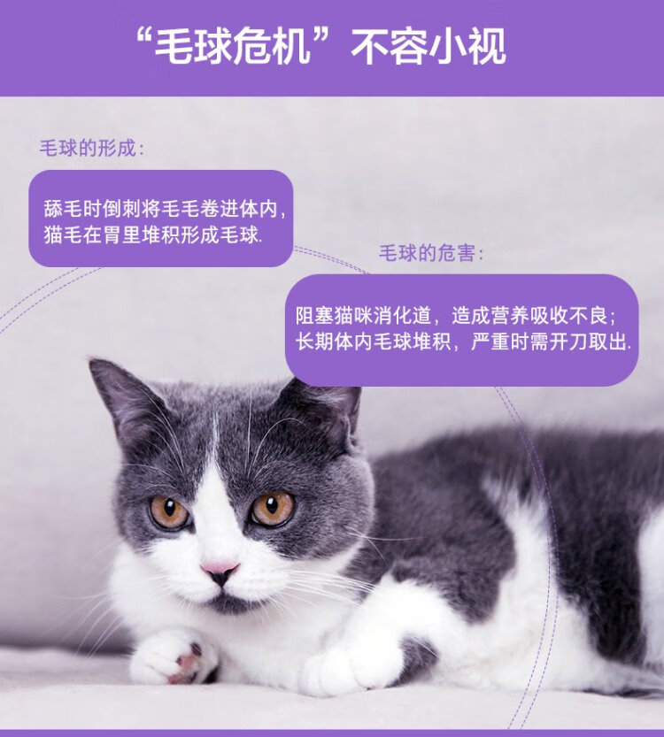 卫仕化毛球片猫草片宠物猫咪排毛球卫士调理肠胃润肠化毛营养促消化化毛片化毛球片试用装 10片 虎窝购