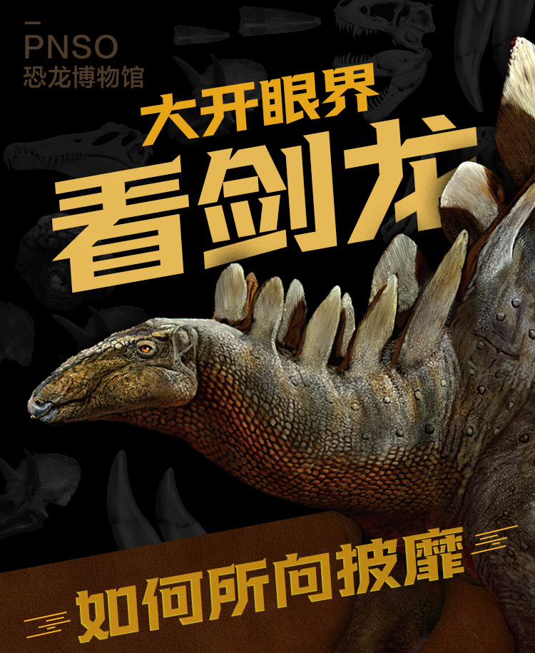 乐乐趣pnso恐龙博物馆剑龙比伯的秘密仅限线下