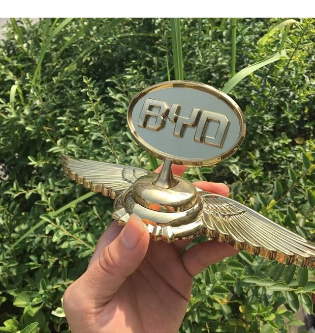 比亚迪f0f3f6s6l3m6g3g5前盖立标机盖车标 byd引擎盖车头标改装侧 byd