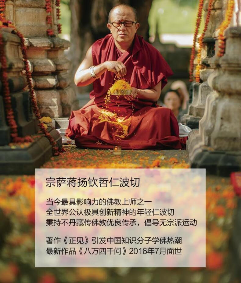 八万四千问宗萨蒋扬钦哲仁波切 著;严望佳,戚淑萍 译