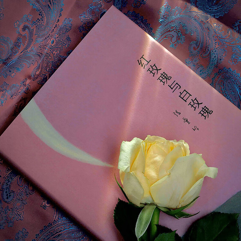 张爱玲小说作品全集5册倾城之恋 红玫瑰与白玫瑰 怨女 半生缘 小团圆 摘要书评试读 京东图书