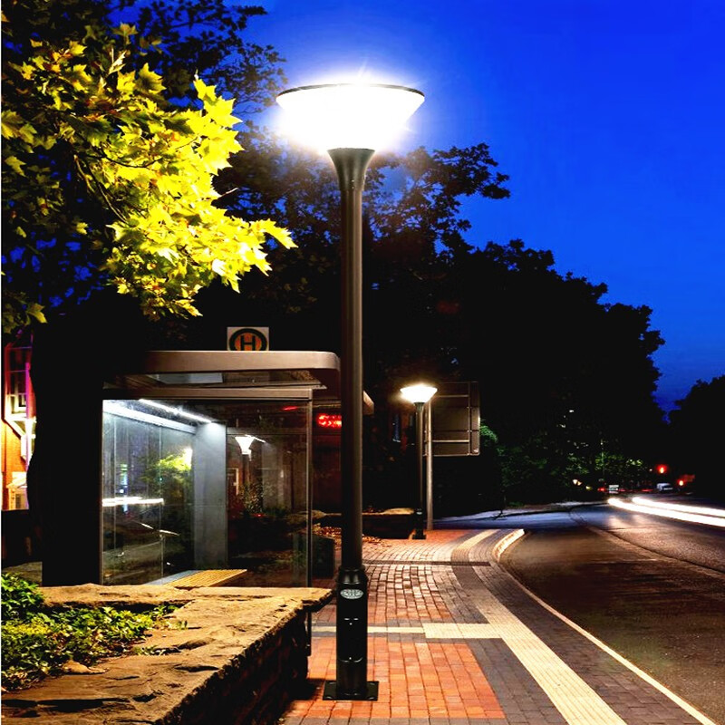 赛柯盾 新款太阳能庭院灯高亮户外防水3米100w家用室外园林高杆酒店