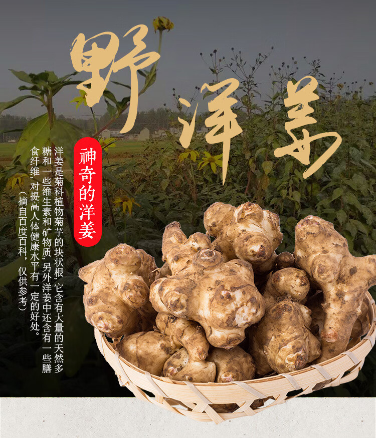 现挖野子姜不辣农家蔬菜酱腌泡菜菊芋洋姜 5斤新鲜洋姜【图片 价格