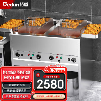 格盾（gedun）电炸炉商用油炸锅小吃炸鸡薯条油条炸串电炸锅 单杠定时款50L TB-L23