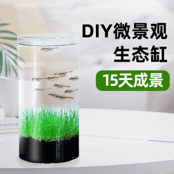 亚峰生态瓶水草植物鱼缸种子水培桌面自循环免打理微景观鱼斗鱼玻璃缸 大号生态缸+毛牛草水草景套餐