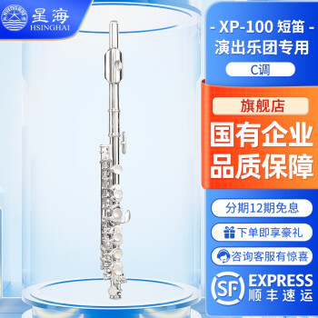 星海（XINGHAI INSTRUMENT）短笛乐器镀银笛子C调XP-100型乐队儿童军演出乐团专用 短笛C调XP-100