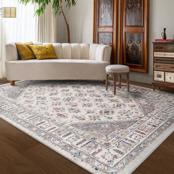 易普美家 新款土耳其进口现代美式轻奢地毯客厅卧室餐厅茶几沙发床边毯 艾美利亚 1600MMx2360MM