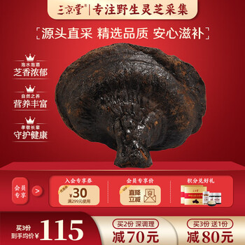 【送礼】三京堂 反柄紫灵芝整枝 云南野外生长马蹄灵芝茶林芝可搭灵芝孢子粉 250g【地道产地 芝香浓郁】 反柄紫灵芝整枝