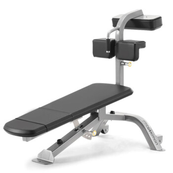 爱康（ICON）腹肌训练器多功能商用哑铃凳专业健身椅飞鸟健腹仰卧板家用F213 送货到家