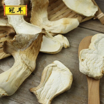 冠耳农家新鲜白灵菇干货古田的特产蘑菇片食用香菇类鲍鱼菌菇100g 100g