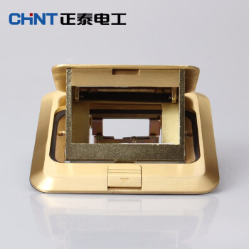 正泰（CHNT）地板插座地插开关插座 隐藏型黄铜地插多功能 纯铜空心