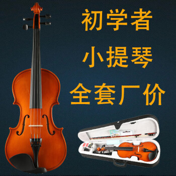 晗畅浩成初学者小提琴儿童入门练习小提琴自学全套高普及琴 4/4 适合身高155cm-22
