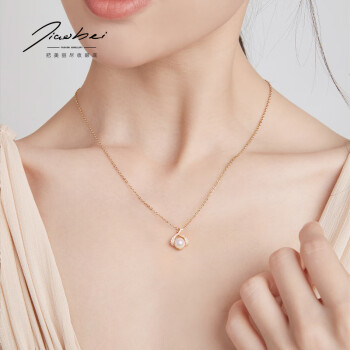 蛟蓓珍珠925银项链轻奢小众锁骨链女高级感设计颈链母亲节礼物 标准