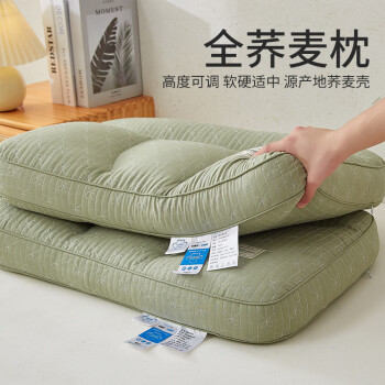 艾维（I-WILL）荞麦枕头学生宿舍单人家用分区护颈枕芯单只装40*60cm 绿色