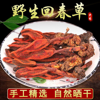 同仁堂（TRT） 野生回春草250g特级中药材不老草回心草鹿茸灵芝顶
