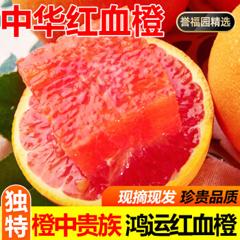 誉福园橙中贵族秭归中华红血橙脐橙红肉当季红心橙子新鲜水果橙子送礼 70-75mm 5斤装