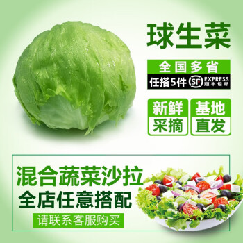 千牛优福球生菜500g 新鲜蔬菜沙拉食材煎饼汉堡球形西生菜圆生菜