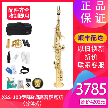 星海乐器高音萨克斯XSS-100降B调乐器成人学生考级分体式高萨专业演奏 原装款选项（含配件大礼包）