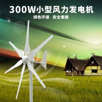 绿电康300W风力发电机12V24v家用220v小型风能发电组合风光互补发 300W AC-24V