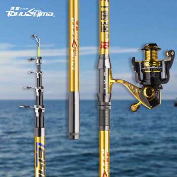 德岛（TOKUSHIMA） 德岛雷强碳素海竿套装 远投杆抛竿甩竿钓鱼竿手海杆渔具 碳素2.1米单竿