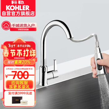 科勒（KOHLER）廚房龍頭抽拉式水槽龍頭洗碗廚盆冷熱水龍頭 防飛濺性價比款21366