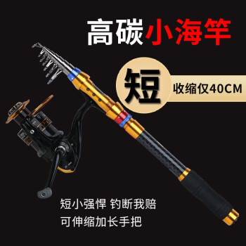 狼王乐钓鱼竿迷你小海竿超短节海杆抛竿便携超硬远投竿收缩路亚 超短海竿2.1米 裸竿