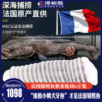 深悦胜 法国银鳕鱼切片（南极犬牙鱼） 鲜冻银雪鱼海鲜 宝宝鱼类健身餐 整条轮切 3kg