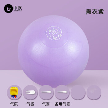 中欧磨砂瑜伽球健身球加厚防爆平衡球儿童感统训练孕妇专用助产大龙球 65cm 紫色