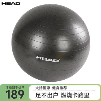 海德（HEAD） 瑜伽球 多彩健身球 专业加厚 HA753-高级灰