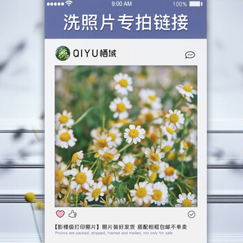 栖域 Qiyu 影楼级洗照片 照片装好发货需搭配本店相框一起购买照片不单独卖影楼级相纸8寸 照片15 2cm 3cm 家装软饰 报价价格评论品牌 京东热卖