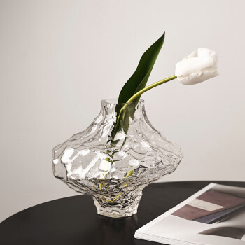 贝汉美（BHM）高级感创意玻璃花瓶摆件透明客厅桌面插花装饰品 山谷花瓶（小号+花艺） 25cm