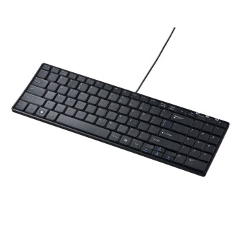 山业（SANWA  SUPPLY）USB有线键盘笔记本键盘办公键盘商务办公全尺寸键盘SKB-E2U 黑色