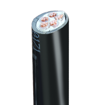 慧远 低烟无卤阻燃B级电线电缆WDZB-YJY环保铜芯阻燃电力电缆10米起售 WDZBYJY3芯2.5平方/米