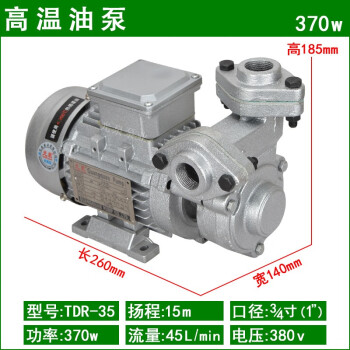 光泉高温油泵耐高温280℃导油循环泵模温机热油循环泵 TDR-35