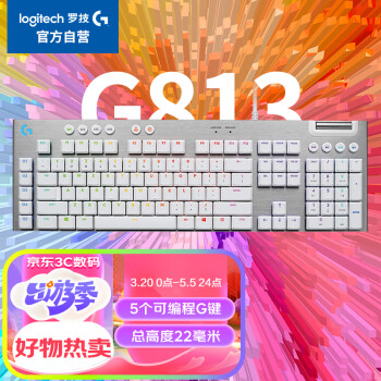 罗技（G）G813机械键盘 超薄矮轴 有线键盘 RGB炫光电竞LOL魔兽世界 磨砂质感 全尺寸119键 茶轴 白色