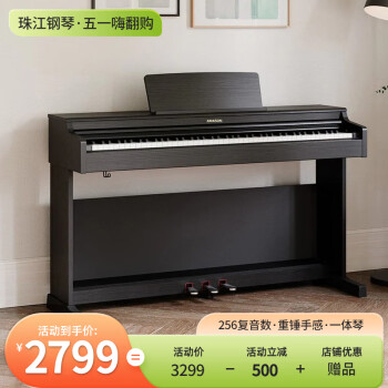 艾茉森（Amason）珠江钢琴 考级电钢琴88键重锤数码电子钢琴专业成人儿童V03S黑