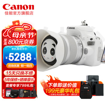 佳能（Canon） EOS 200D二代单反相机入门级 200d2代学生高清自拍vlgo数码照相机 EOS 200D II 白色 18-55套机 套餐二 【128G卡 电池大礼包+滤镜配件大礼包】