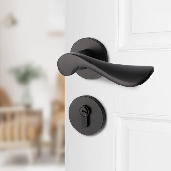 汇泰龙门锁室内卧室现代简约房门锁实木门锁门把手通用型锁具 DS-102 哑黑 35-45MM+通用型+带钥匙