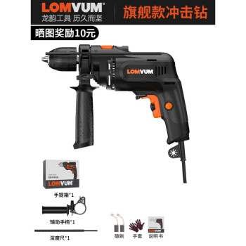 龙韵（LOMVUM）冲击钻家用多功能电钻小型电锤220V有线钻电动螺丝刀套装 550W旗舰款冲击钻 标配