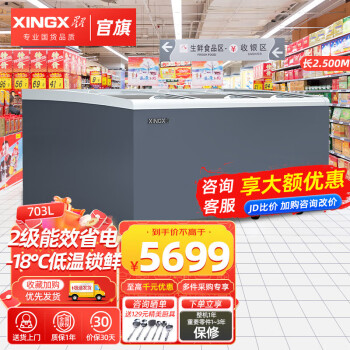星星（XINGX）展示柜冷藏保鲜柜全冷冻冷藏冰柜商用超市卖场雪糕鲜肉海鲜卧式组合柜【大容量加深款】2级能效 2.5M丨2级能效丨1019YQ-E