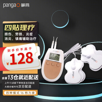 攀高（PANGAO） 低频治疗仪 针灸颈椎治疗仪 腰椎理疗仪 多功能数码经络按摩器 四贴款（PG-2602C）