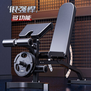 创思维 多功能哑铃凳健身椅专业卧推凳家用健身器材轻商用运动锻炼器械 CSW9300套装(含10公斤PU铃片×2)