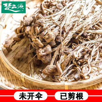 楚品源干货农家自产特产茶树菇 茶树菇 250g