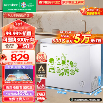 容聲（Ronshen）205升減霜小型冰櫃家用冷藏冷凍轉換單溫冷櫃 一級能效家商兩用臥式冰箱BD/BC-205MB以舊換新