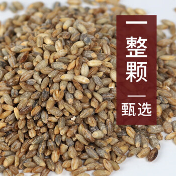 鶴來香（HELAIXIANG）青稞米500克    青藏高原特產五穀雜糧代餐粗糧
