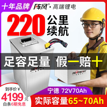 阵风（Zhen Feng）阵风宁德电动车锂电池外卖专用72v60v三元锂电瓶车48v磷酸铁锂 宁德72V70Ah+BMS +10A充