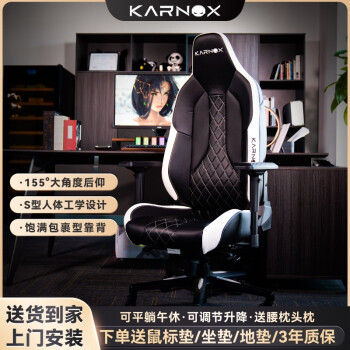 凯诺克斯（KARNOX）领航者 电竞椅电脑椅家用高端人体工学椅老板椅办公游戏座椅 黑白